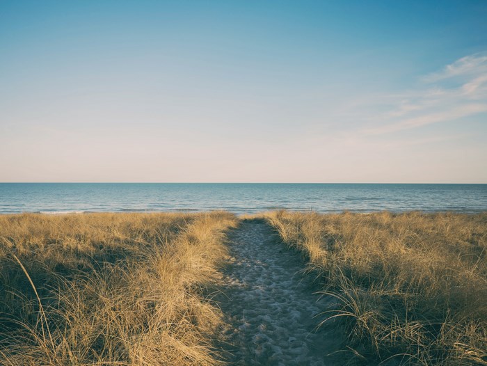 Path through beach grass to the ocean