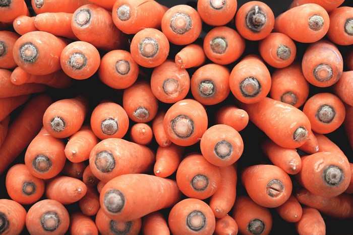 Pile of fresh orange carrots
