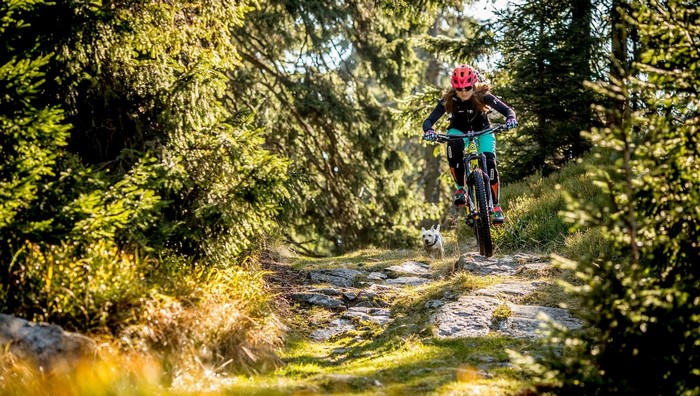 Woman mountain biking with dog on forest trail
