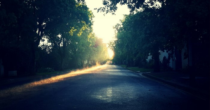 Sunlight filtering through trees onto a lonely road