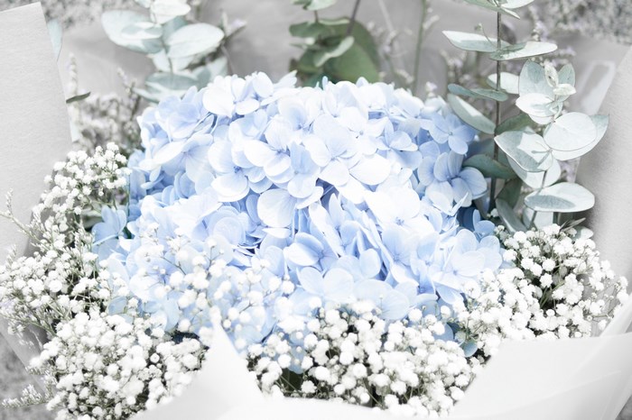 Blue Hydrangea and Baby's Breath Bouquet