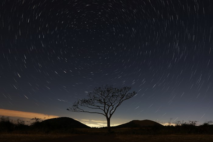 Star trails over a lone tree in Korea