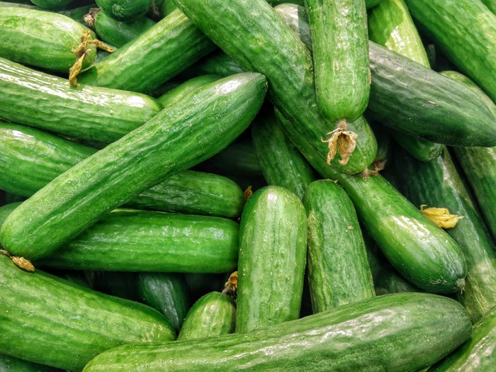 Pile of fresh green cucumbers