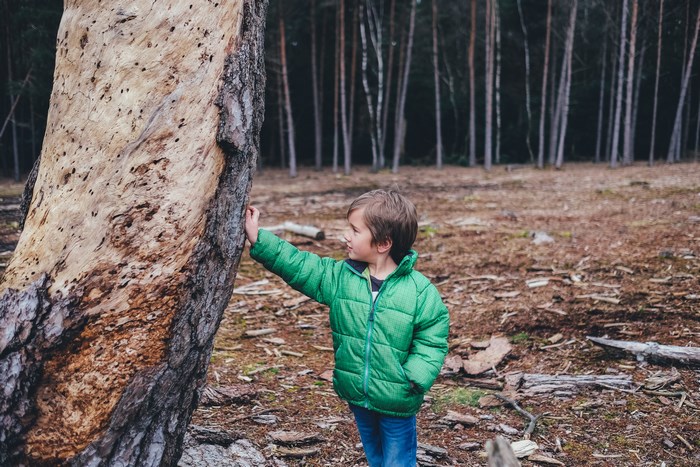 Boy in green jacket leaning on a dead tree trunk