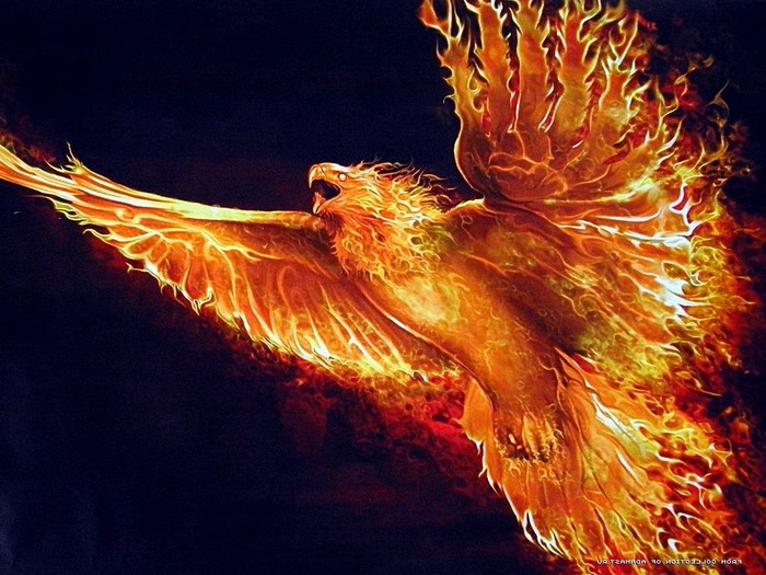 Phoenix made of fire flying in darkness