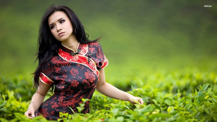 Woman in traditional Chinese dress in a tea field
