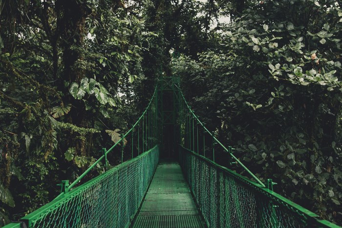 Green hanging bridge in Monteverde National Park, Costa Rica