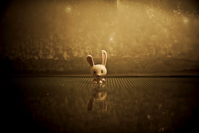 A small bunny toy sits on a reflective surface