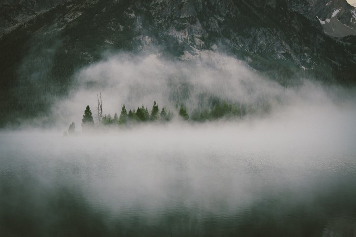 Misty lake with pine trees and mountains