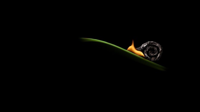 Snail on a leaf with fire