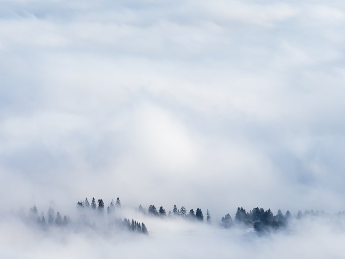 Misty forest in Switzerland with clouds