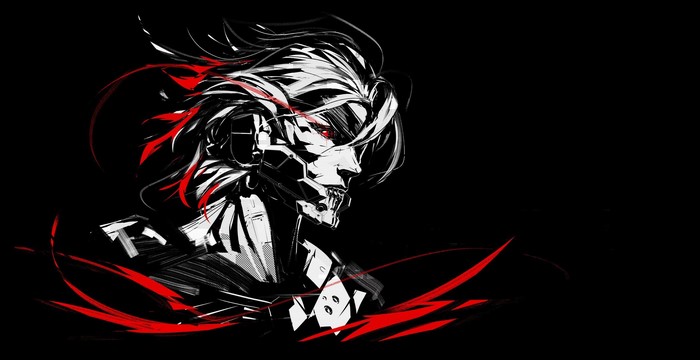 Raiden from Metal Gear Rising: Revengeance
