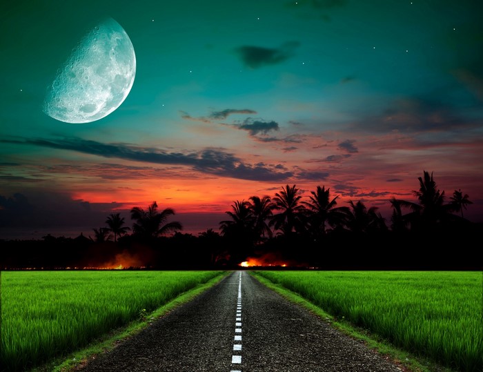 Road through rice fields at sunset with moon