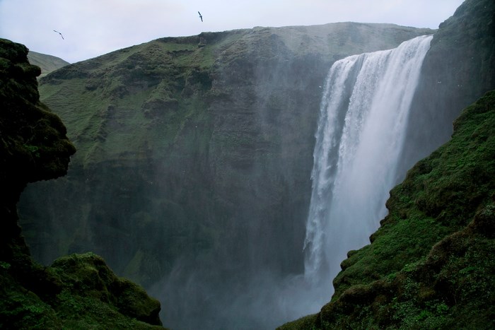 Skógafoss Waterfall in Iceland with Birds