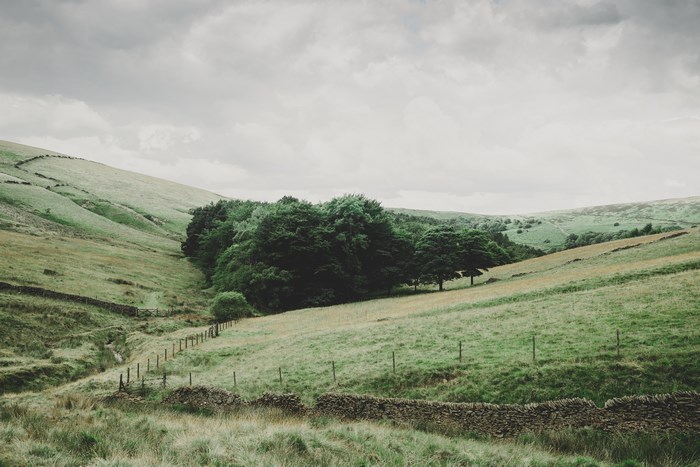 Peak District valley with stone walls and trees