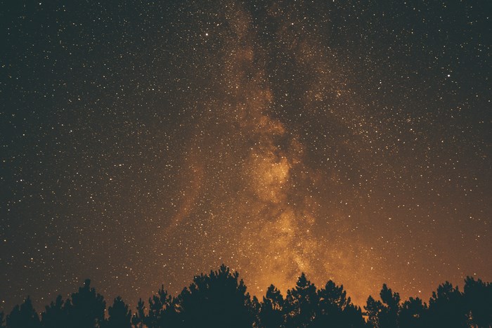 Silhouette of trees against the Milky Way galaxy
