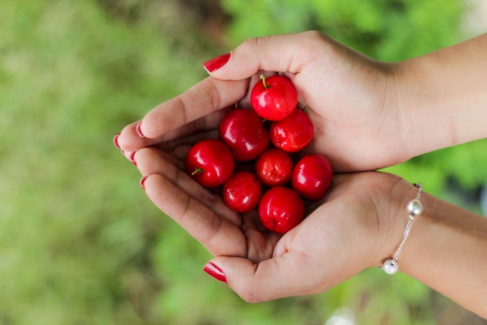 Hands holding red cherries with a bracelet
