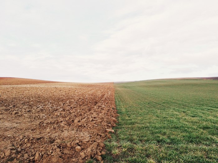 A divided field with plowed earth and green grass