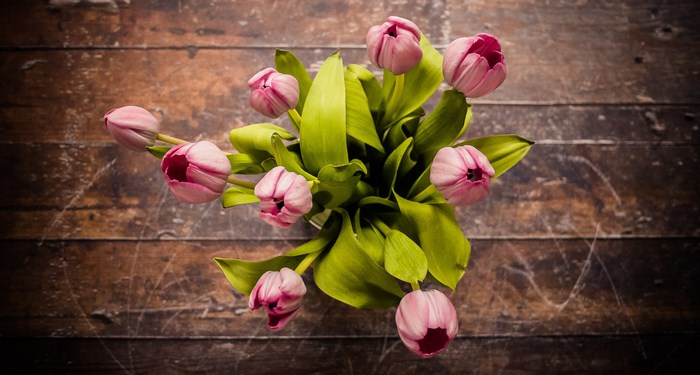 Pink tulips arranged on a wooden surface