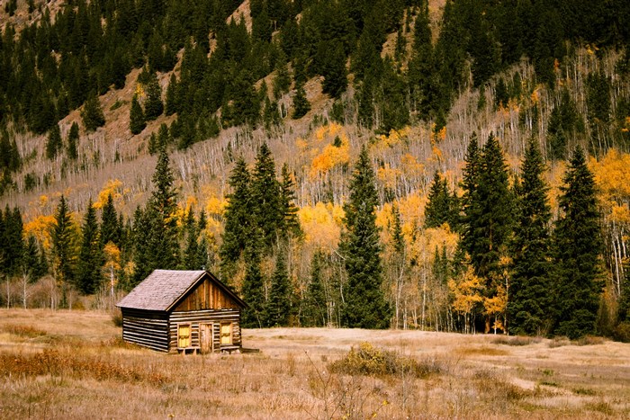 Secluded Autumn Cabin in Pine Forest Meadow