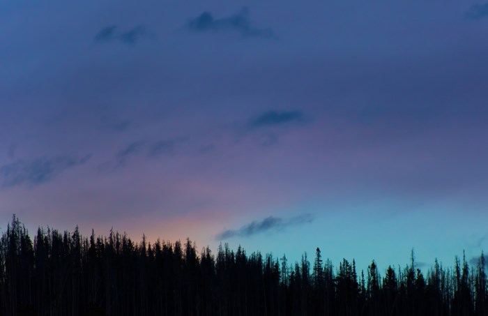 Silhouette of forest against colorful twilight sky