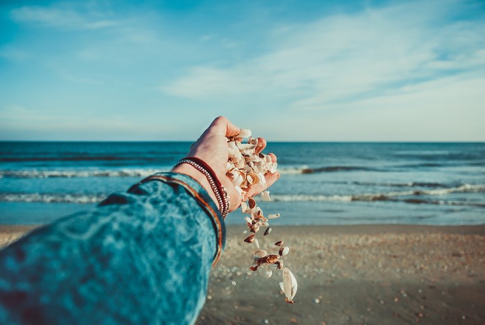 Hand holding seashells at the beach with the ocean in the background