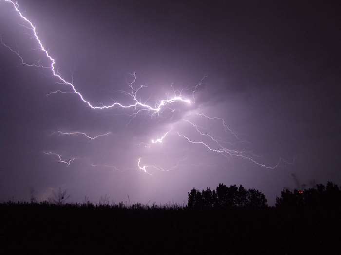 Lightning strikes in a dark, stormy sky over trees