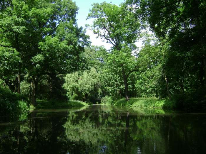 Forest lake with reflections of trees in Poland