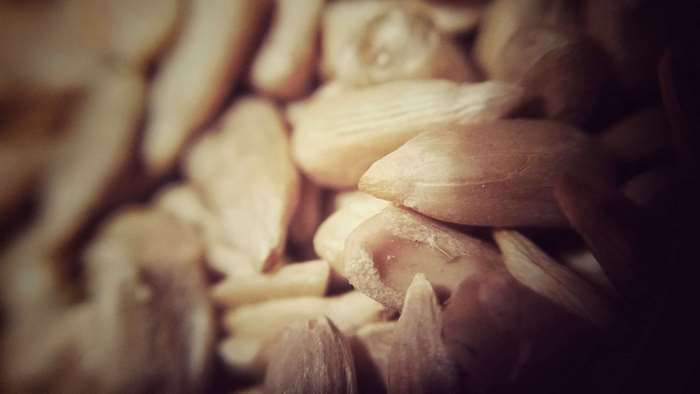 Close up of sunflower seeds