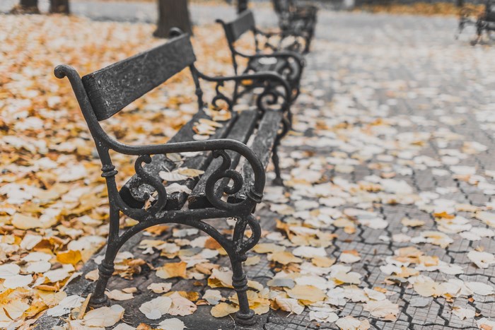 Park benches covered in fallen leaves during autumn