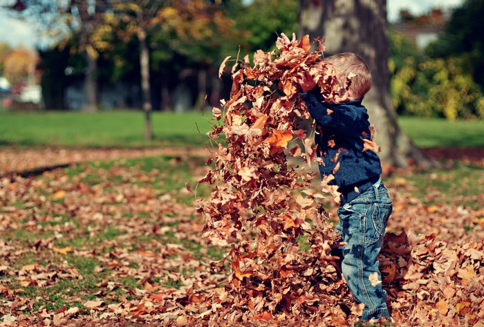 Child playing with leaves in autumn park