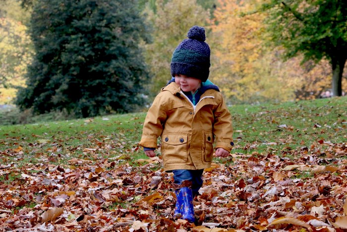 Toddler walking in a park during autumn