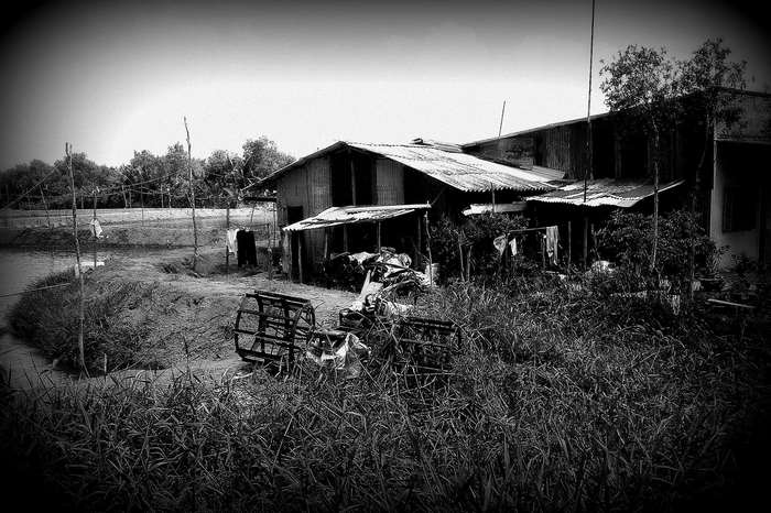 Rural Vietnamese farm buildings by a river