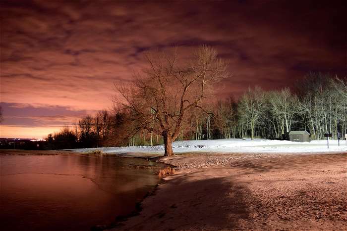 Winter landscape with frozen lake and bare tree at dusk