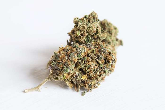 Close-up of cannabis buds on a white surface