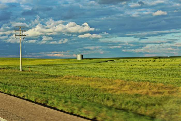 Grain bin in a green field with a telephone pole