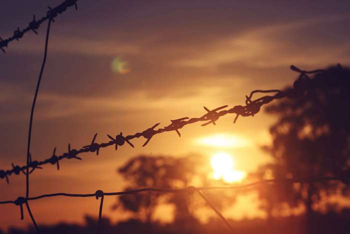 Barbed wire fence at sunset