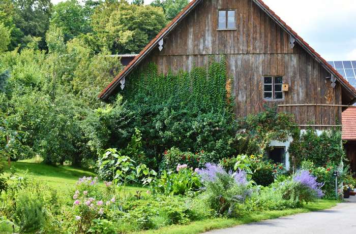 Rustic wooden farmhouse with a vibrant garden