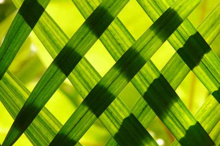 Green leaves woven into a pattern with shadows