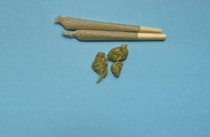 Two cannabis joints and three marijuana buds