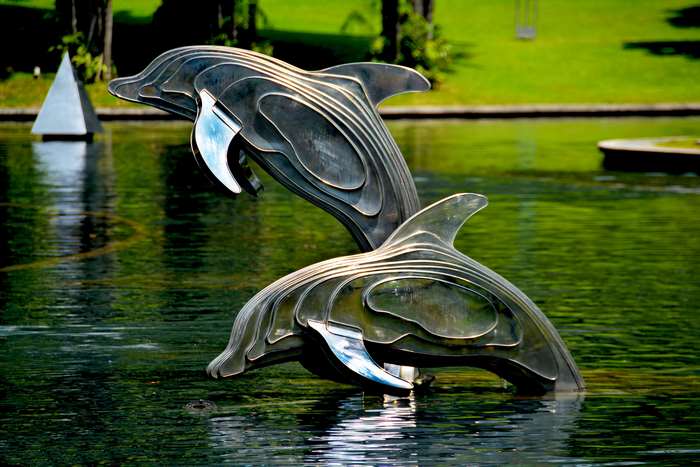 Metal Dolphin Sculptures in a Pond