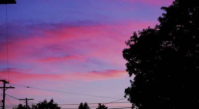 Purple and pink clouds at sunset with silhouetted trees and power lines