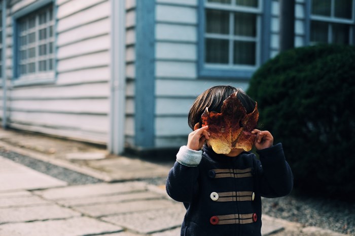 Child hiding face with a large autumn leaf