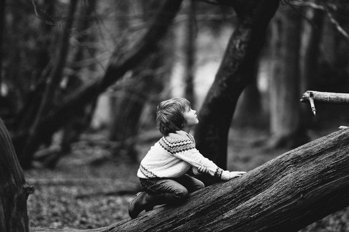 Boy climbing on a fallen tree in the woods