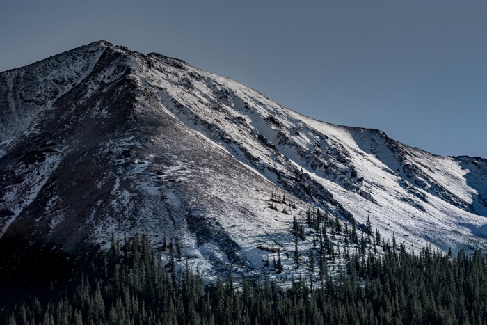 Snow-covered mountain peak with pine forest