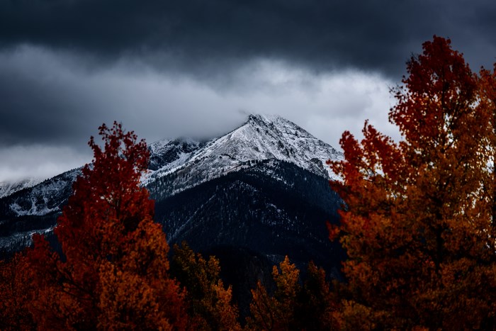Snow-capped mountain peak behind autumn trees