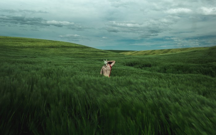 Man with skull mask in a green field