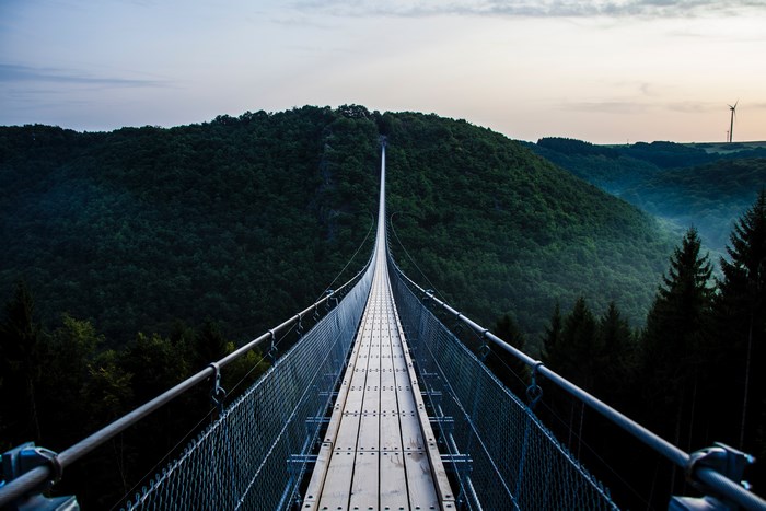Geierlay Suspension Bridge over a dense forest