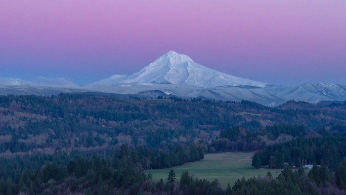 Snow-Capped Mount Hood at Dawn with Forest View
