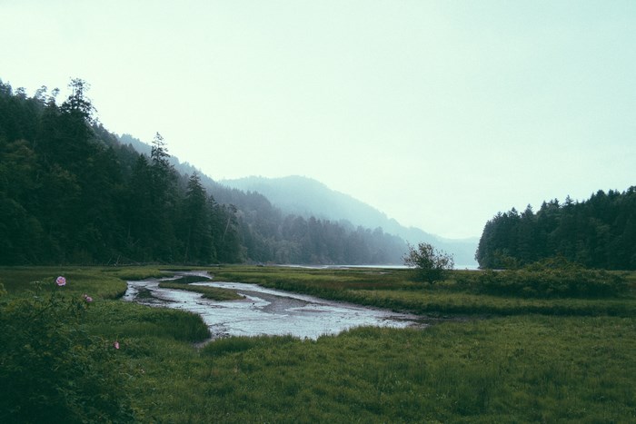 Misty river flowing through a grassy marsh with forested mountains